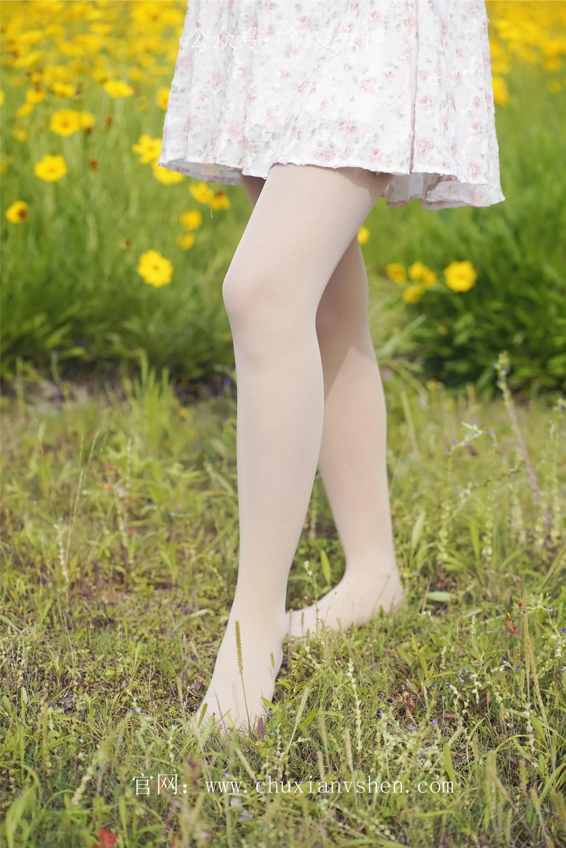 初夏女神 NO.070 依依 邻家女孩-风中少女 [122P]插图6